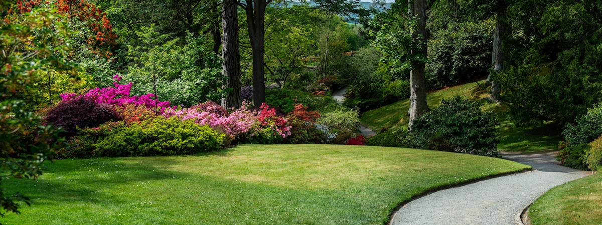 The Best Sod Suppliers Service Available